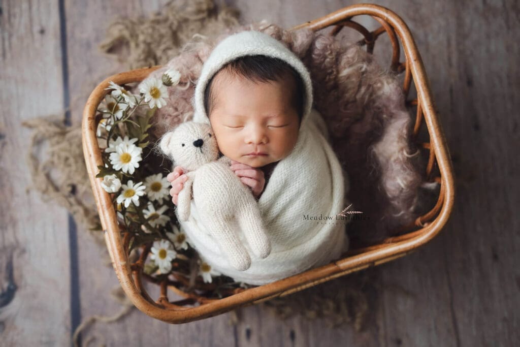 newborn photography wrapped pose in rattan basket with daisies